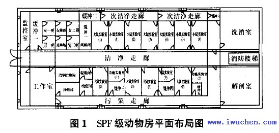 实验动物房平面布置图 实验动物房平面布置图